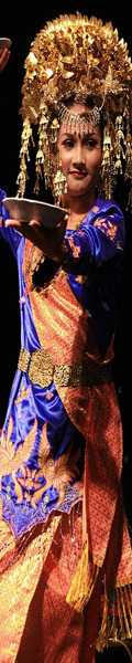 banner 120x600