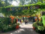 Kebon Binatang Surabaya-2